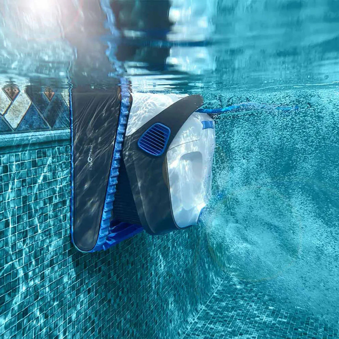 Robot Piscina - Dolphin S300